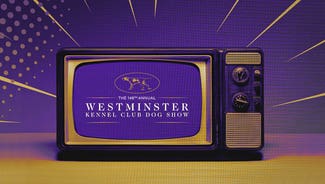 Next Story Image: 2024 Westminster Dog Show: Schedule, dates, TV, streaming, how to watch